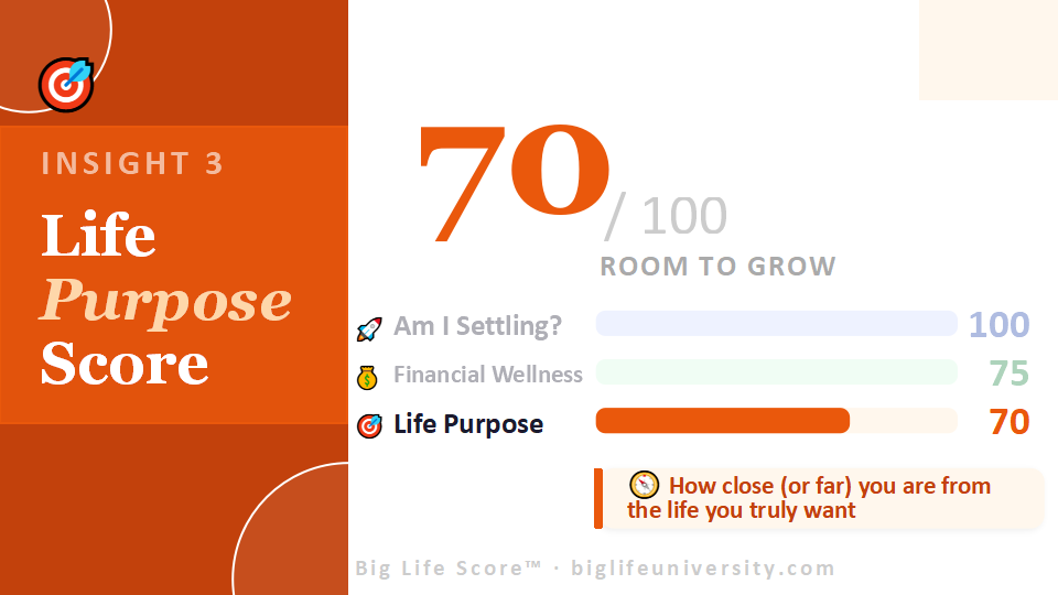 life purpose score